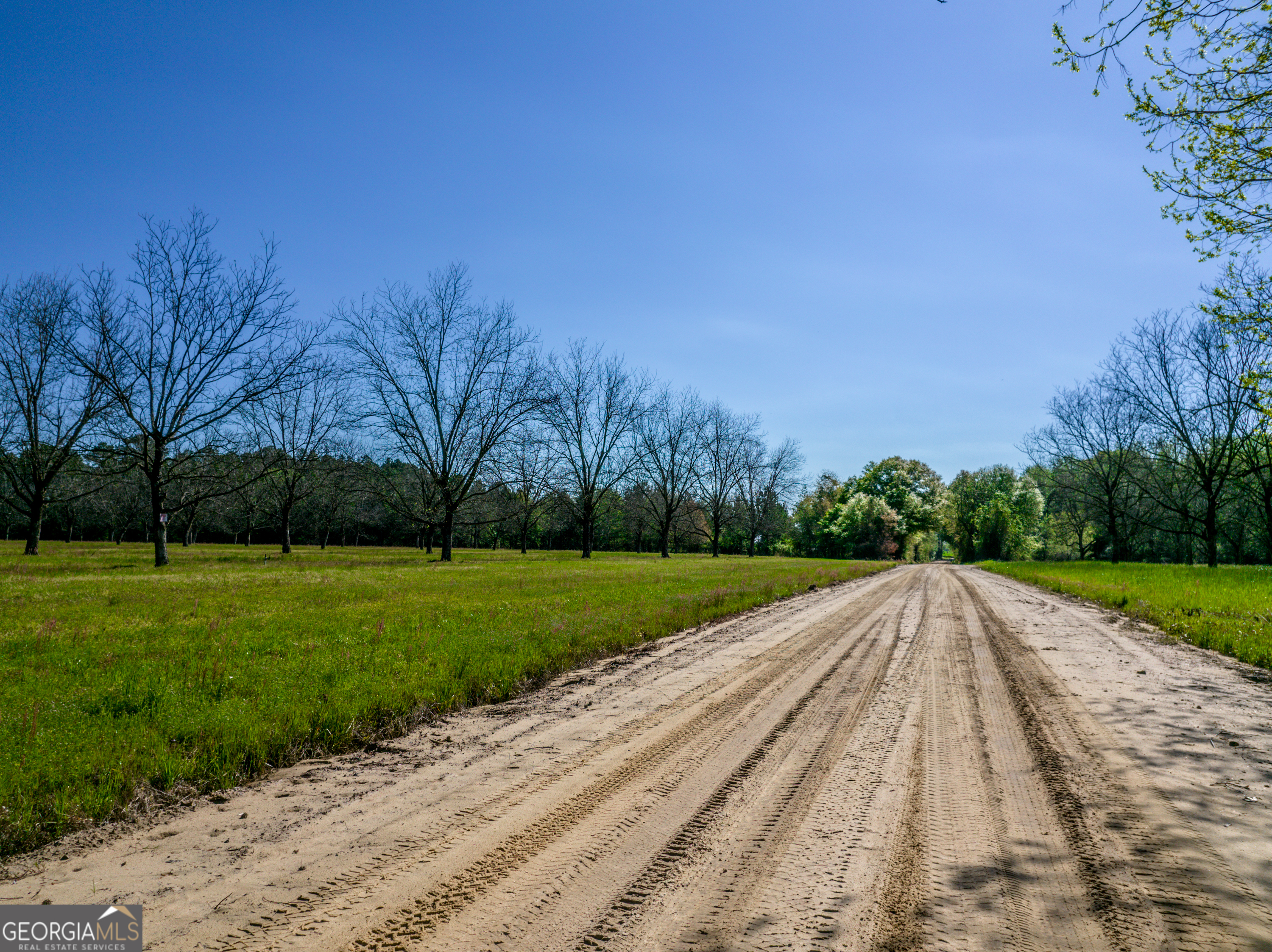 0 Edenfield Road Reidsville, GA 30453 - Photo 6 of 13