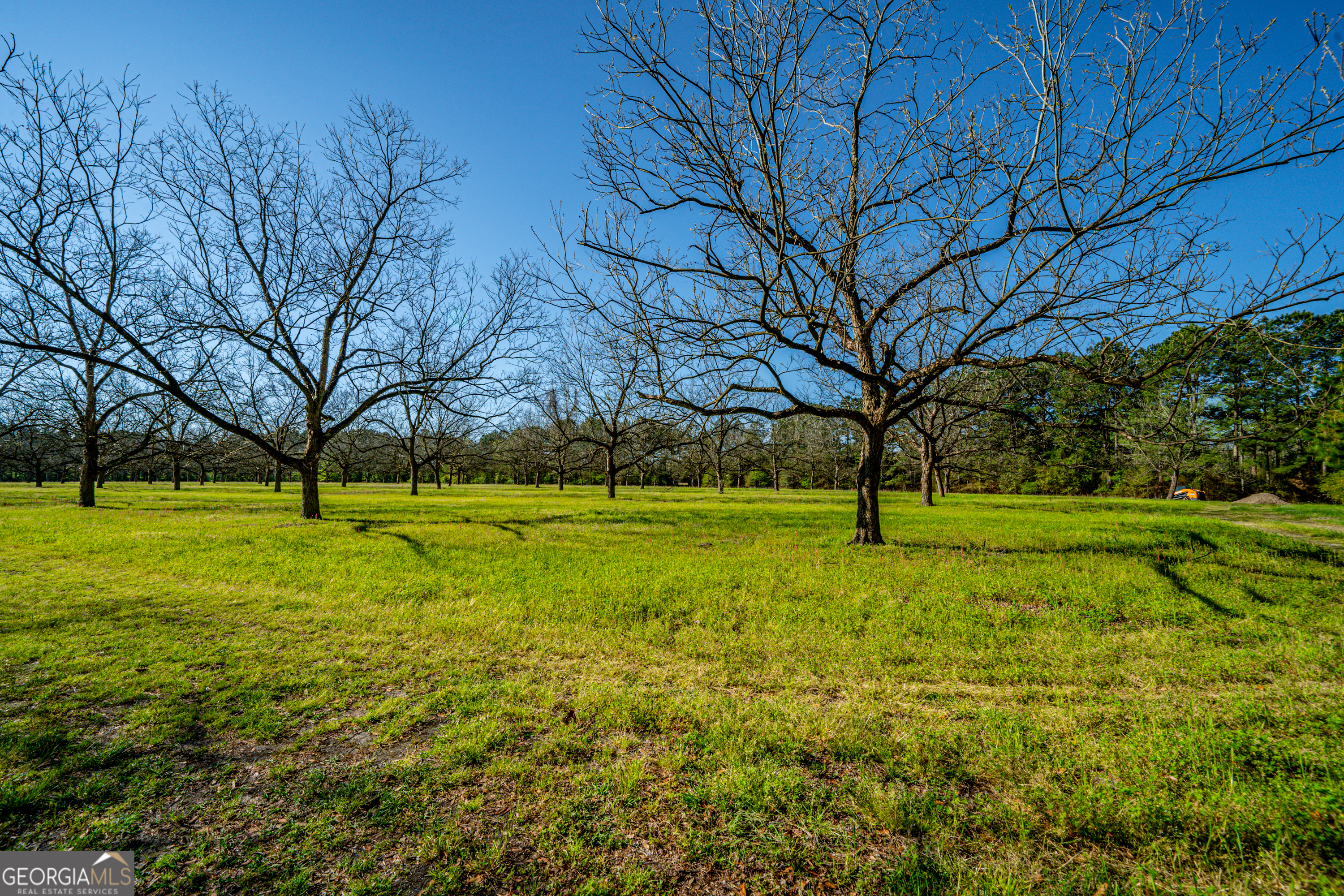 0 Edenfield Road Reidsville, GA 30453 - Photo 7 of 13