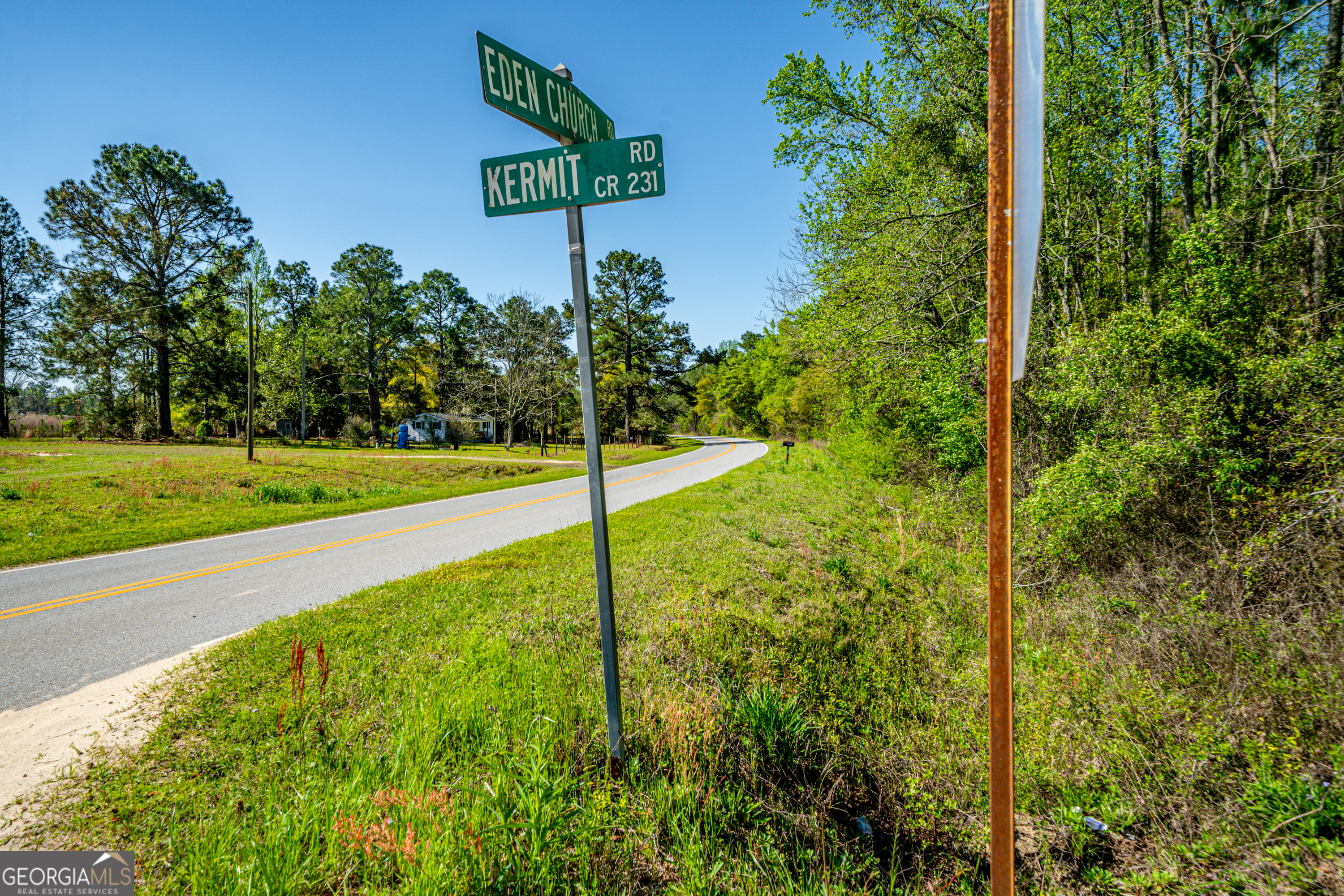 0 Edenfield Road Reidsville, GA 30453 - Photo 10 of 13