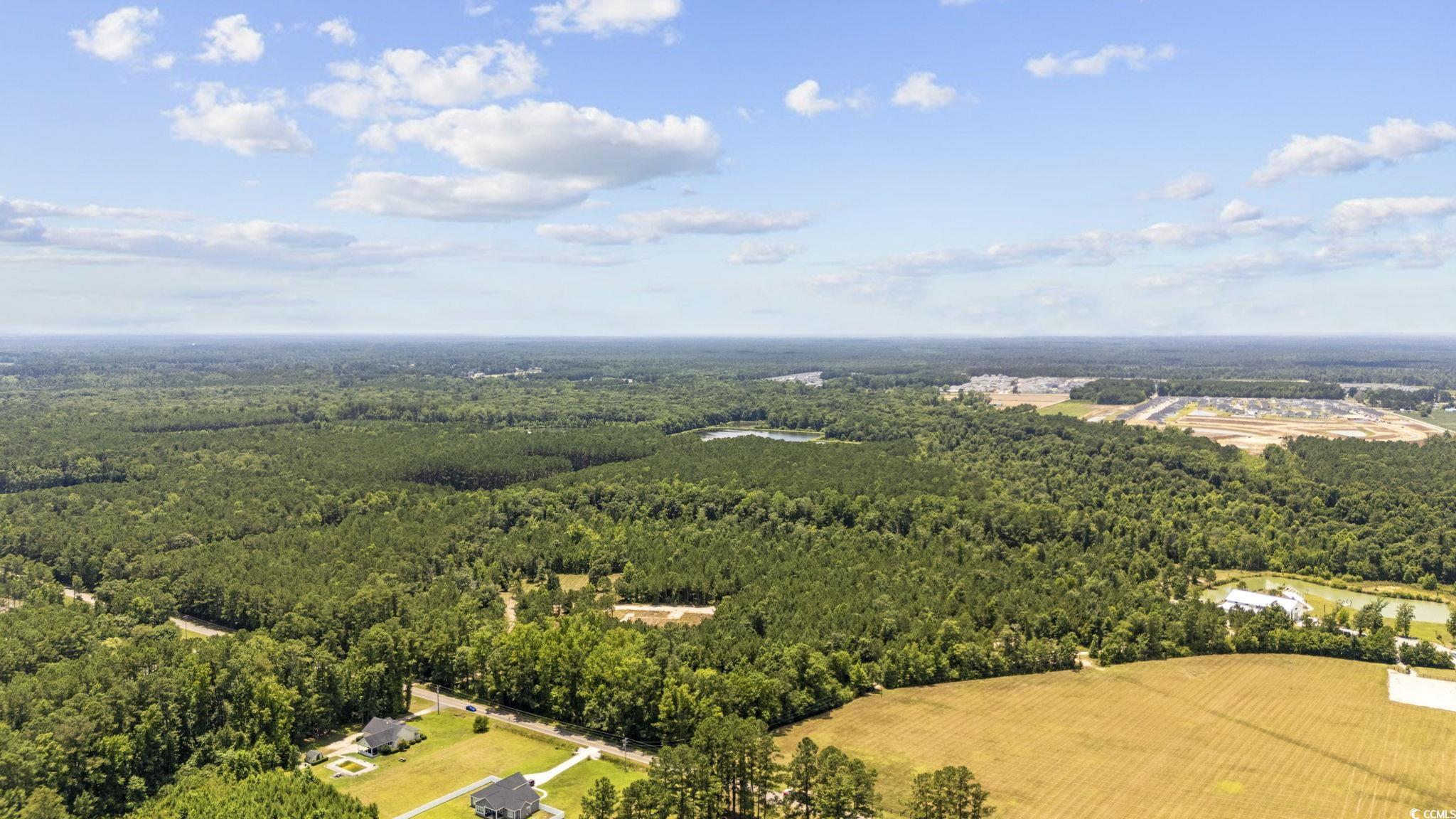 Tbd Old Buck Creek Road Longs, SC 29568 - Photo 2 of 4 Bird's eye view of a heavily wooded area