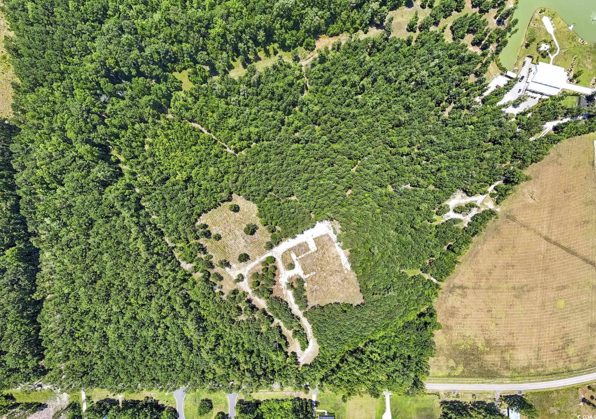 Tbd Old Buck Creek Road Longs, SC 29568 - Photo 3 of 4 Aerial overview of property's location