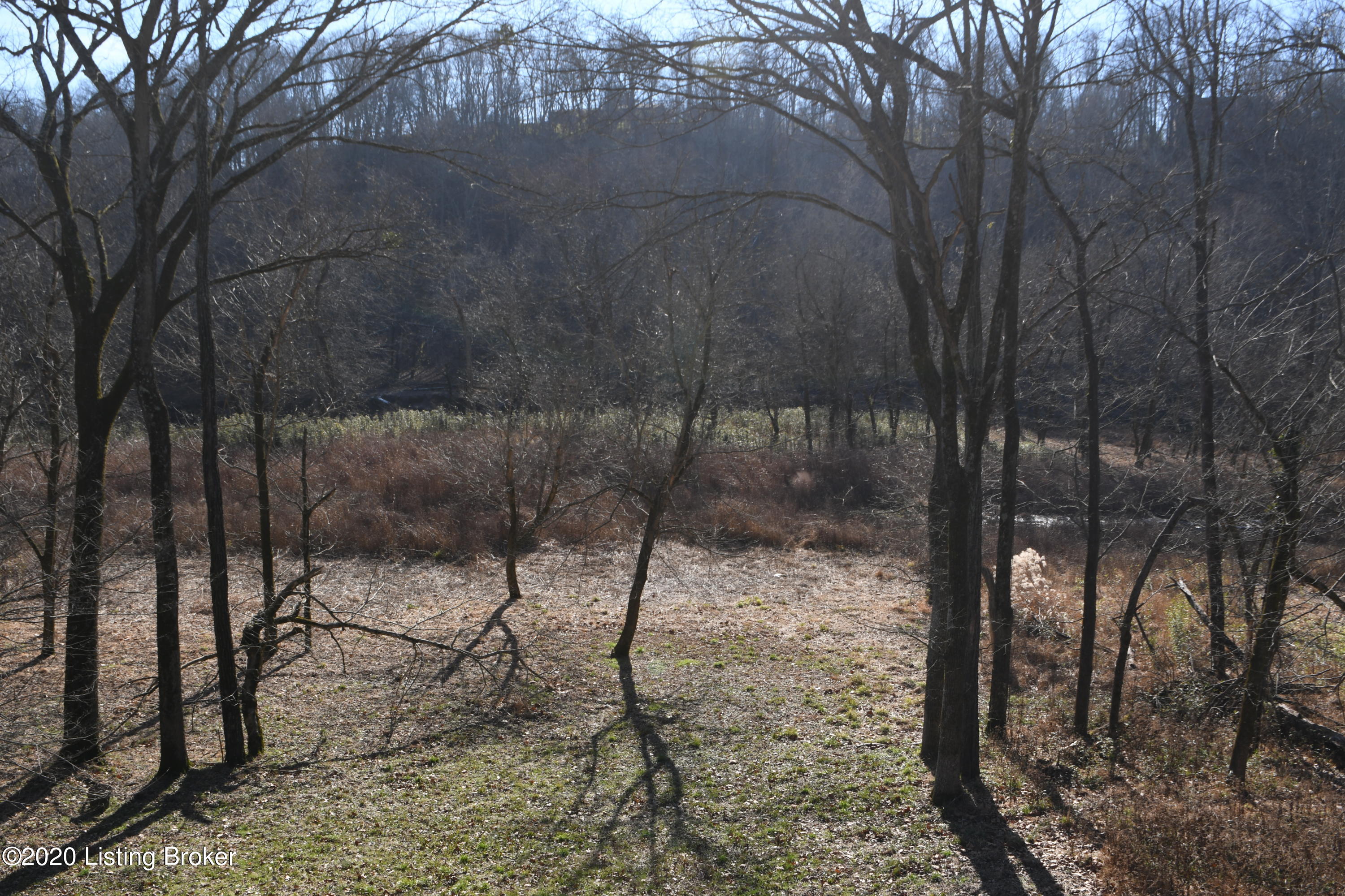 7214 Deer Ridge Road Prospect, KY 40059 - Photo 49 of 52 DSC_0077