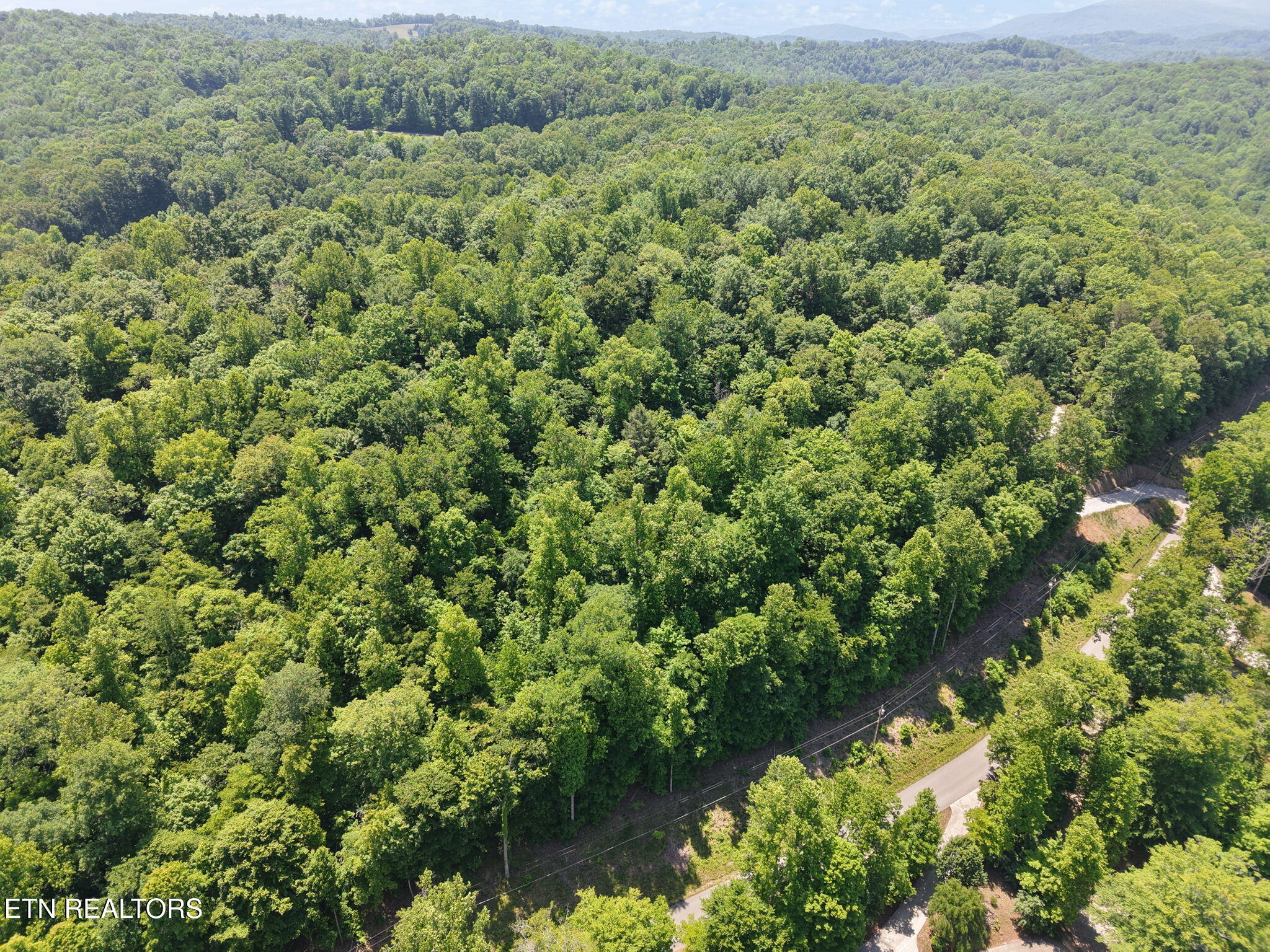 Yoakum Hollow Road Jacksboro, TN 37757 - Photo 10 of 17 7-web-or-mls-DJI_20260518131354_0015_D