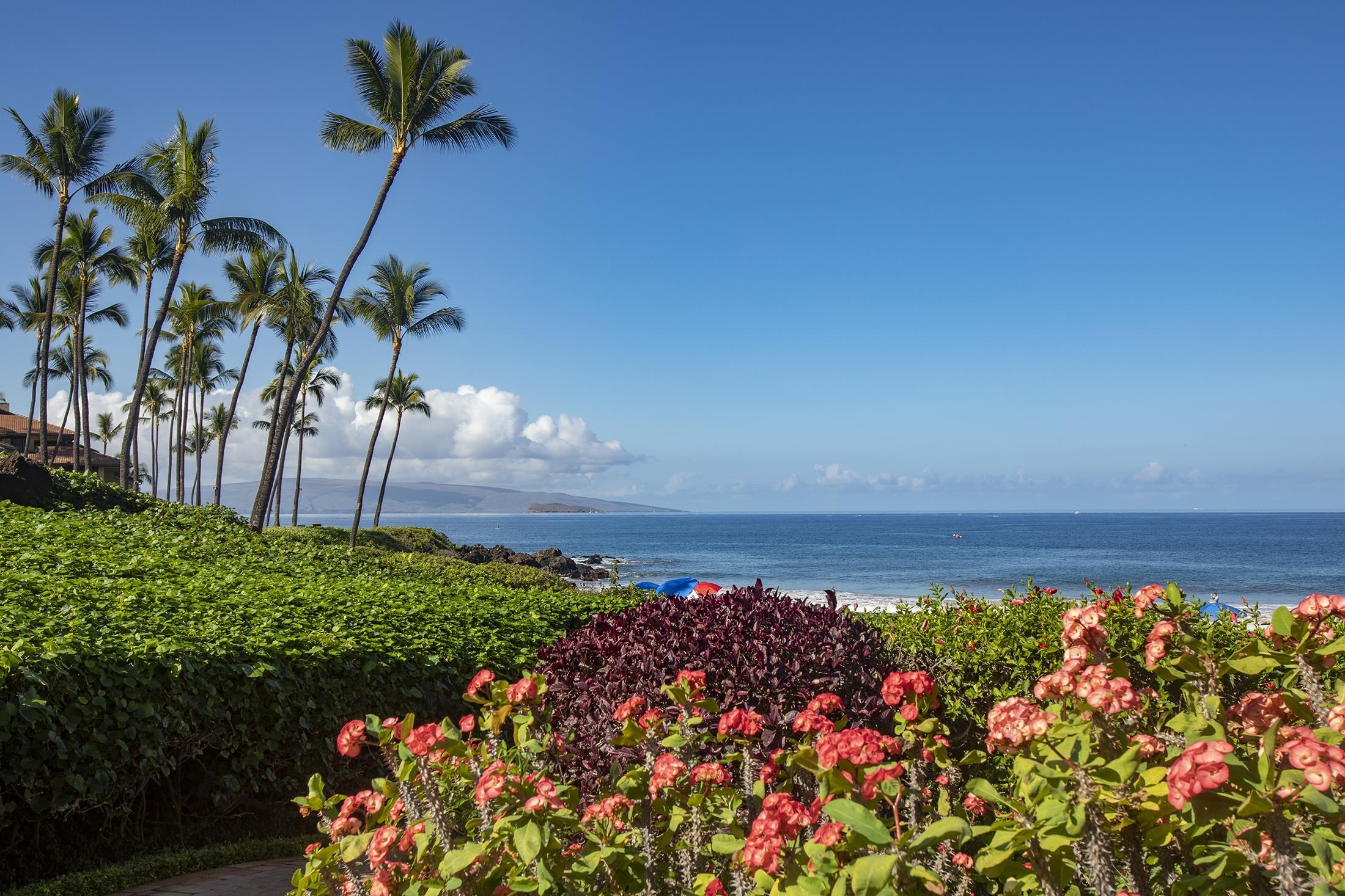4850 Makena Alanui Road, Unit F207 Kihei, HI 96753 - Photo 25 of 34 a view of a street with a flower in a garden