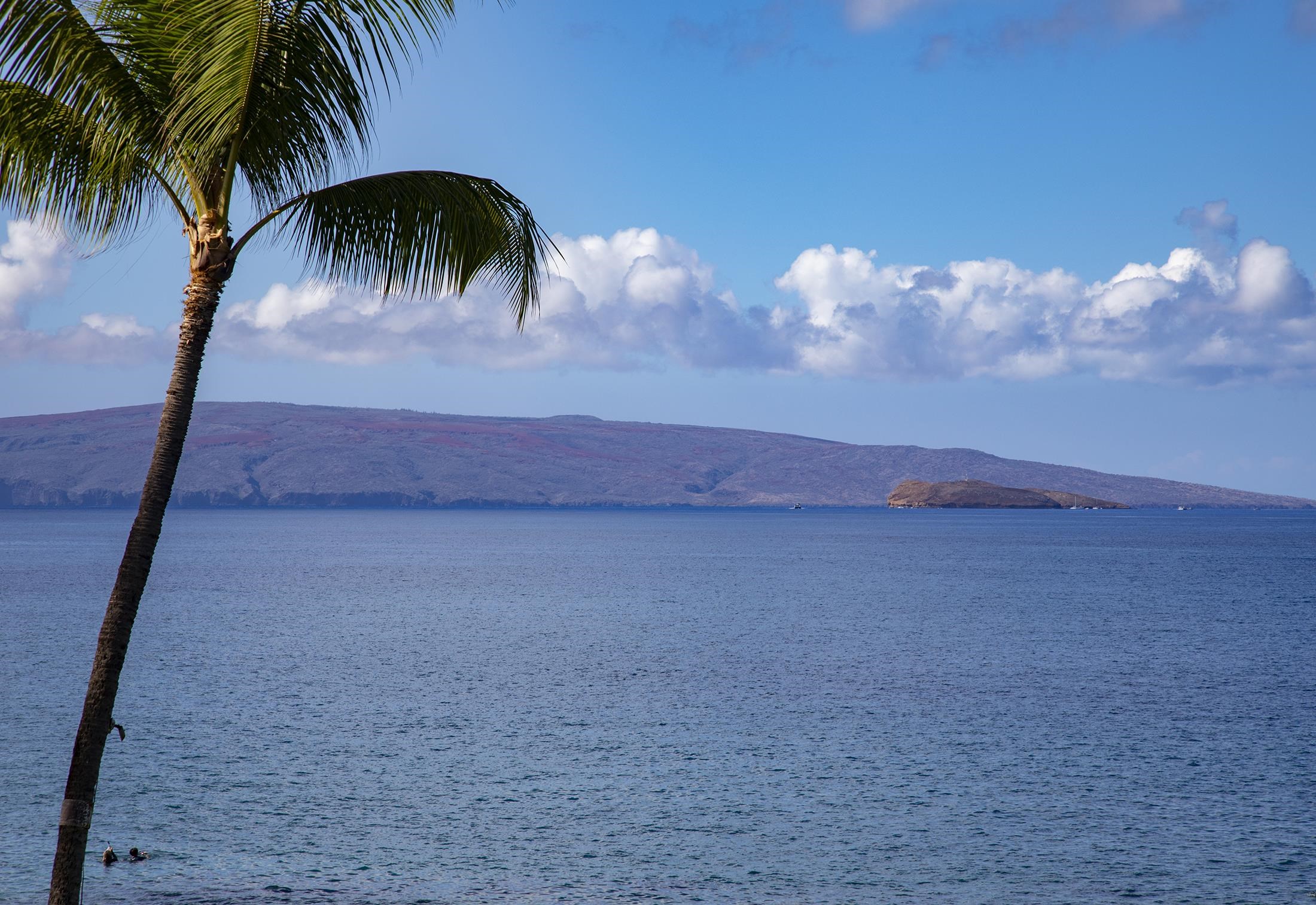 4850 Makena Alanui Road, Unit F207 Kihei, HI 96753 - Photo 29 of 34 a view of a yard