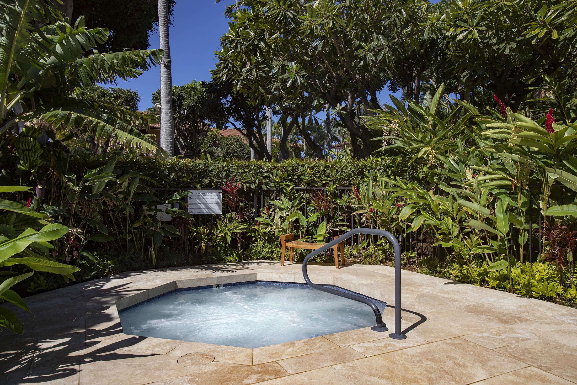 4850 Makena Alanui Road, Unit F207 Kihei, HI 96753 - Photo 34 of 34