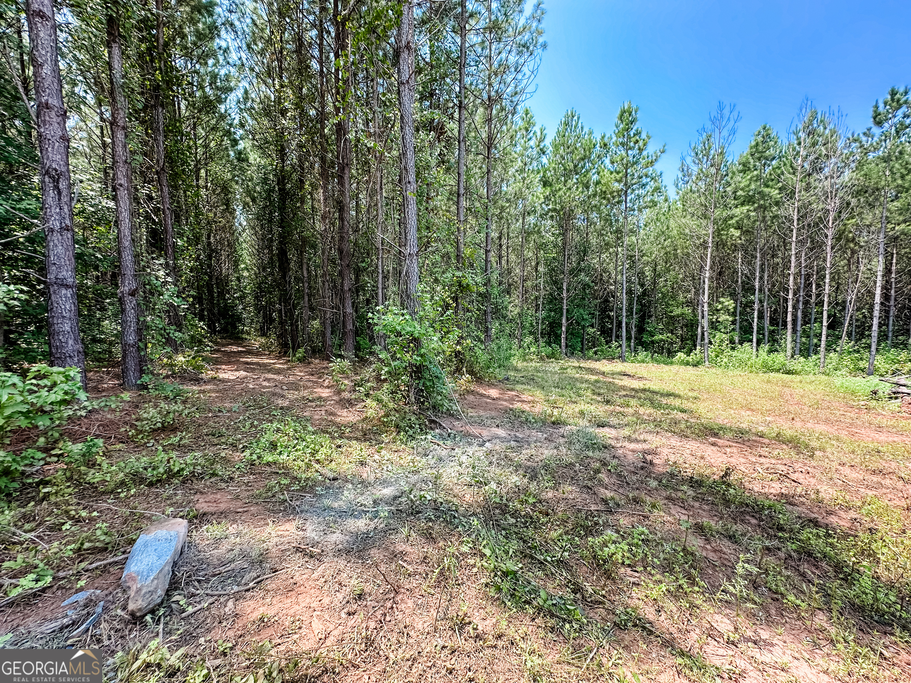 0 Jordan Road, Unit 17 79 ACRES Monticello, GA 31064 - Photo 20 of 38 Gallery Image 20