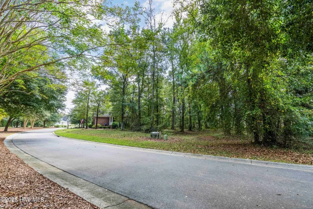 $19,000 | 205 Legacy Woods Drive, Wallace, NC 28466