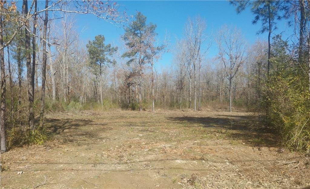 17 D Craig Road Deville, LA 71328 - Photo 1 of 3