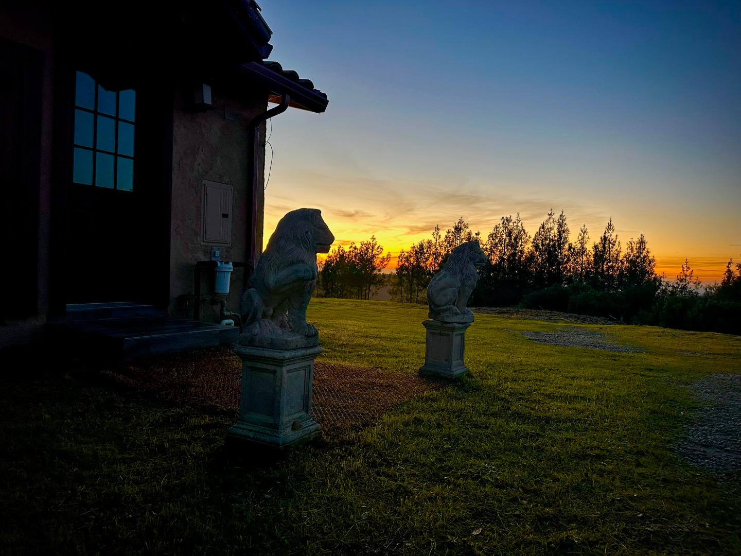 620 Maymens Flat Road Los Gatos, CA 95033 - Photo 4 of 42 a park view with a outdoor space