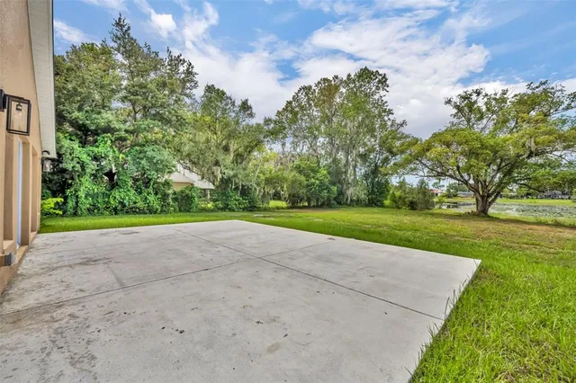 a view of a park with large trees