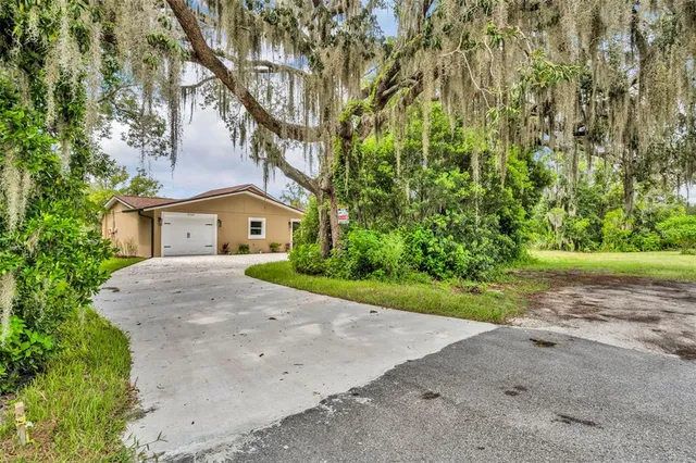 a white house with a tree in front of it