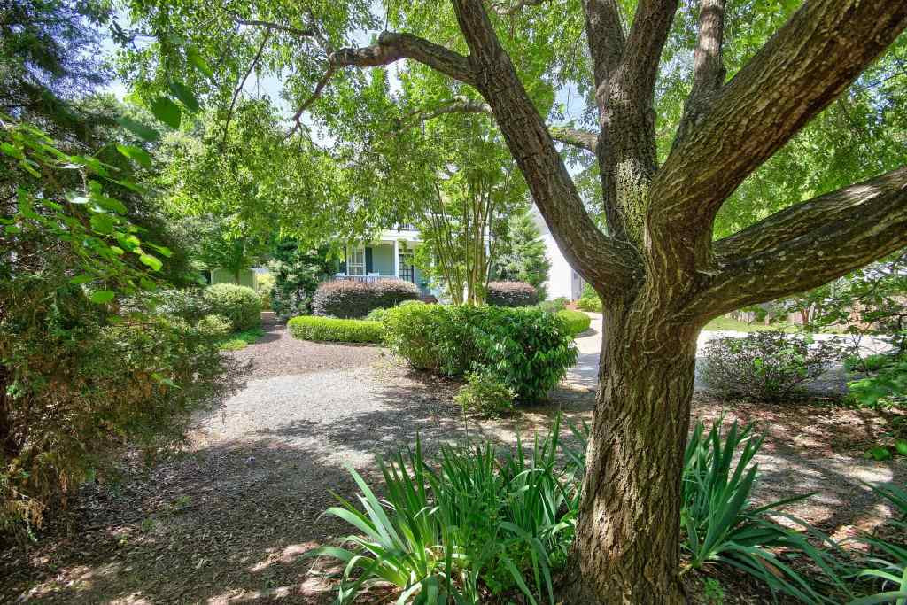 516 Pace Street Raleigh, NC 27604 - Photo 24 of 25 Another picture of more of this wonderful yard Yard