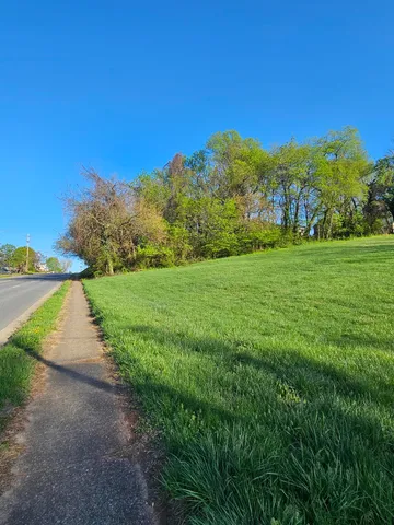 a view of a garden with houses