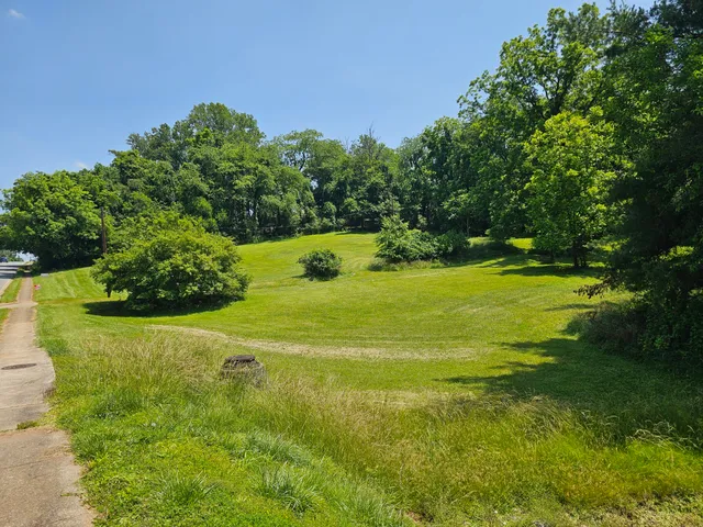 a view of a golf course with a lake