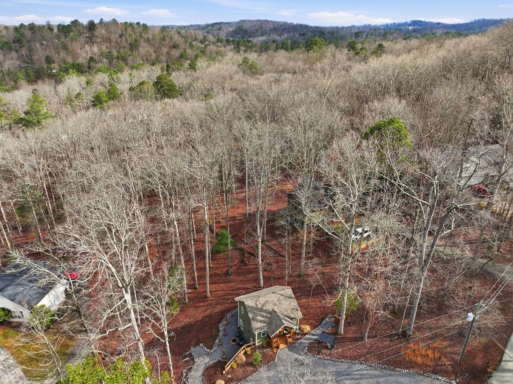 348 Zeblin Road Ellijay, GA 30540 - Photo 28 of 54 Gallery Image 28