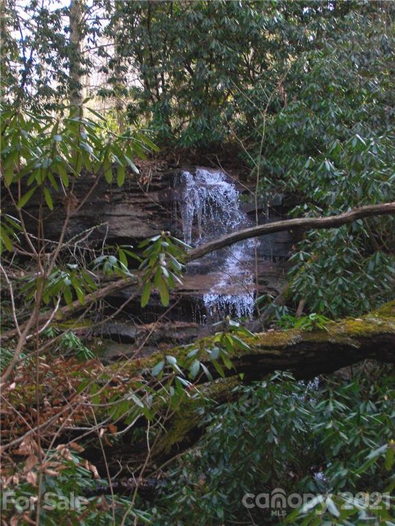 Tbd Tbd Buck Top Road Franklin, NC 28734 - Photo 21 of 34 Gallery Image 21