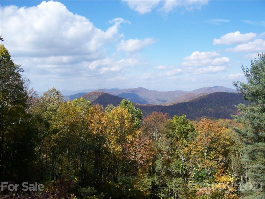Tbd Tbd Buck Top Road Franklin, NC 28734 - Photo 22 of 34 Gallery Image 22