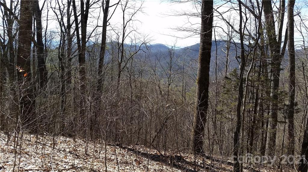 Tbd Tbd Buck Top Road Franklin, NC 28734 - Photo 24 of 34 Gallery Image 24