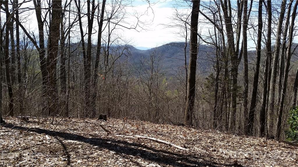 Tbd Tbd Buck Top Road Franklin, NC 28734 - Photo 25 of 34 Gallery Image 25