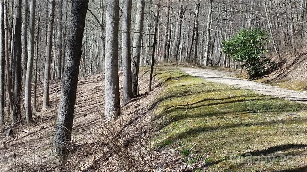 Tbd Tbd Buck Top Road Franklin, NC 28734 - Photo 26 of 34 Gallery Image 26