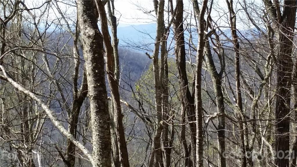 Tbd Tbd Buck Top Road Franklin, NC 28734 - Photo 27 of 34 Gallery Image 27