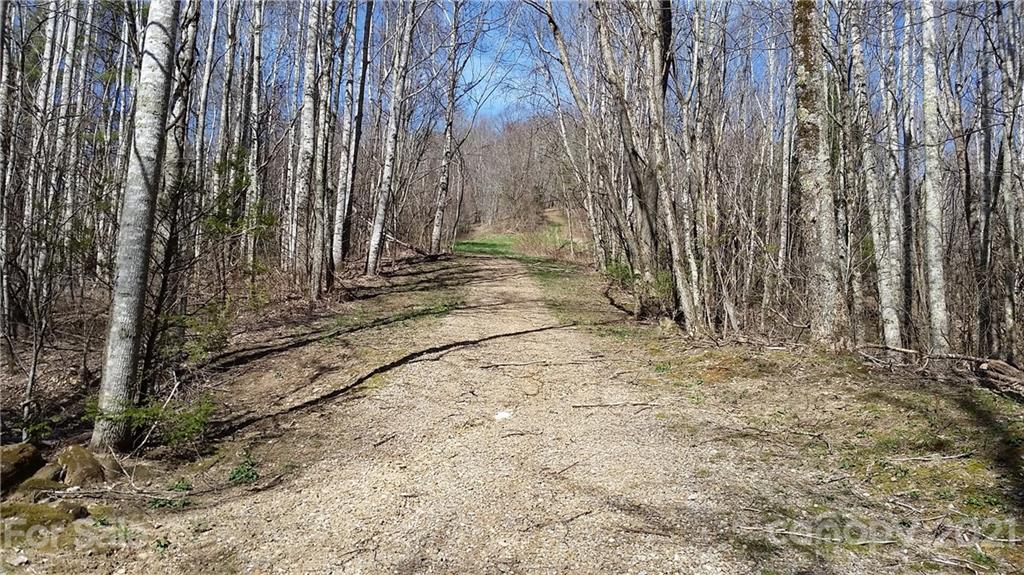 Tbd Tbd Buck Top Road Franklin, NC 28734 - Photo 28 of 34 Gallery Image 28