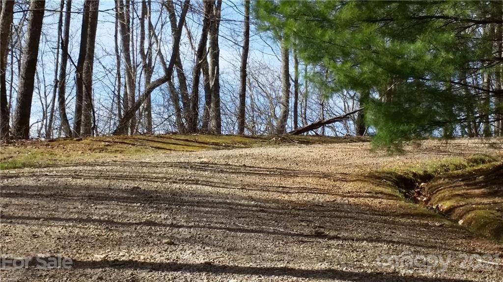 Tbd Tbd Buck Top Road Franklin, NC 28734 - Photo 7 of 34 Gallery Image 7