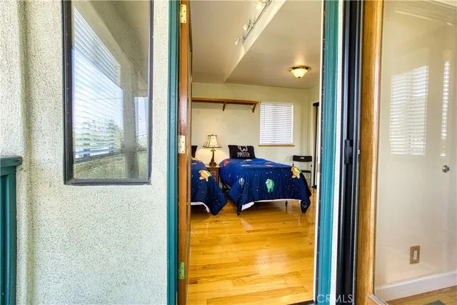 a view of a garden from a window