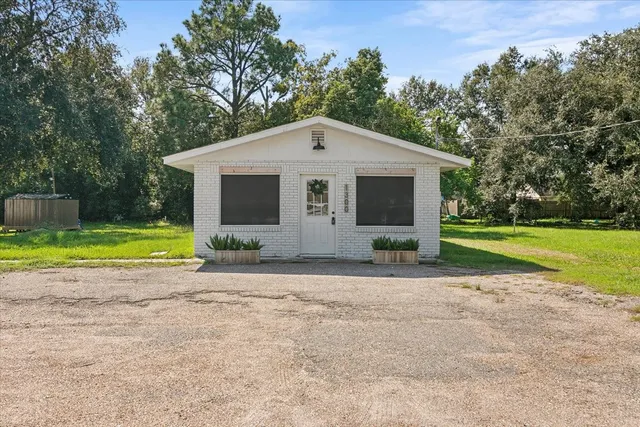 a view of a park with large trees
