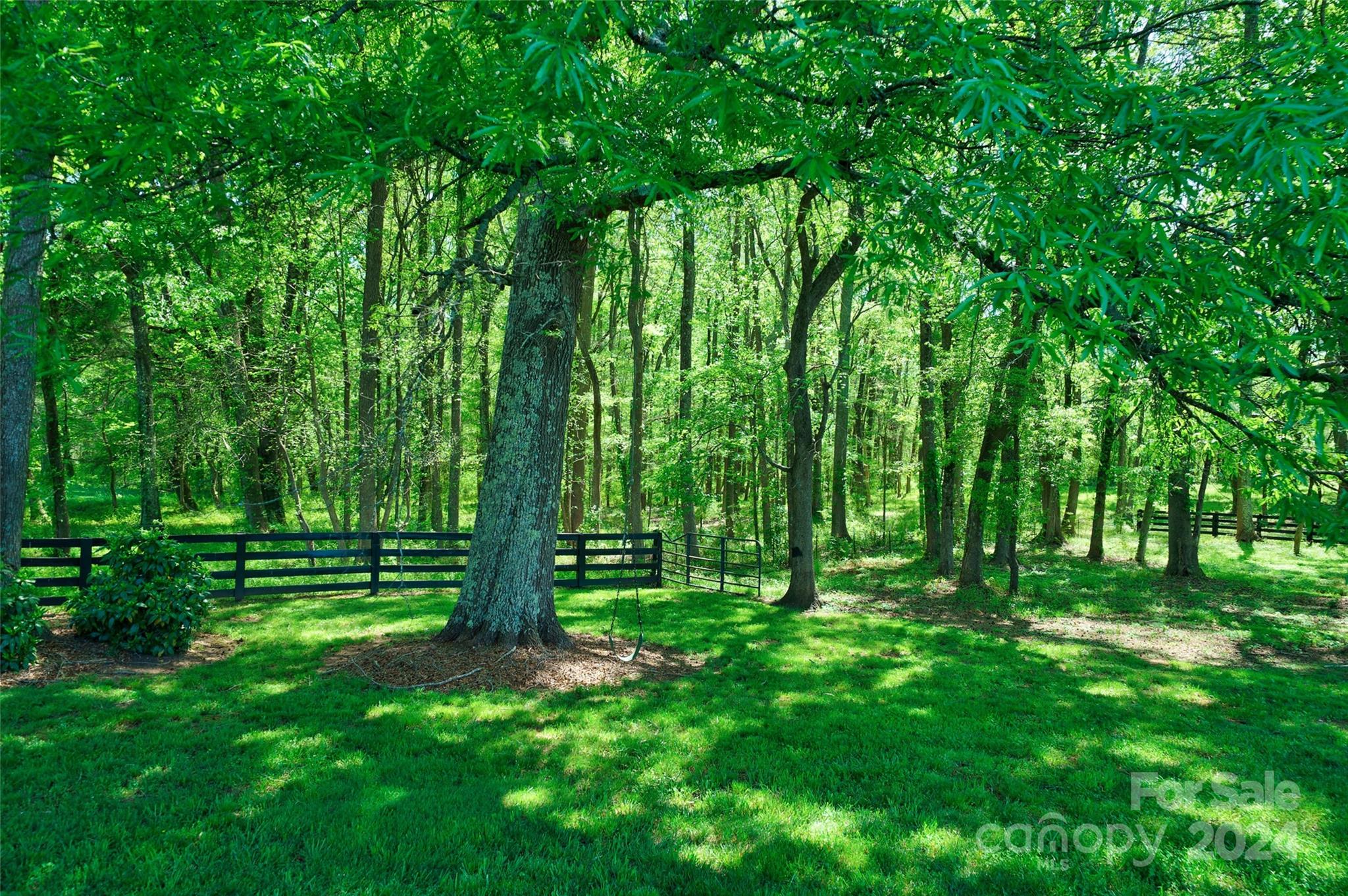 539 Tirzah Road York, SC 29745 - Photo 44 of 47 Gallery Image 44