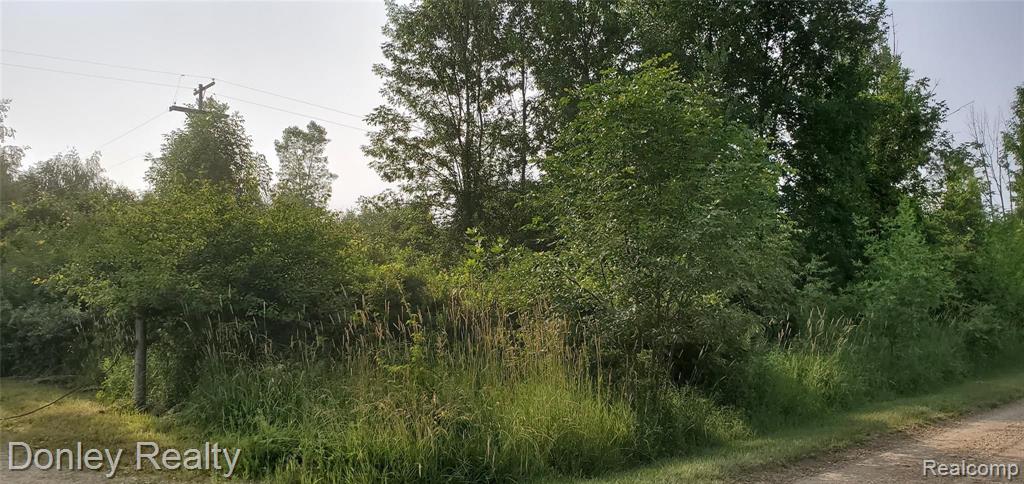 99999 Bentley Road Brown City, MI 48416 - Photo 2 of 3
