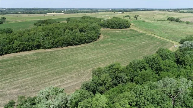 $799,000 | Cowsert Drive, Braymer, MO 64624