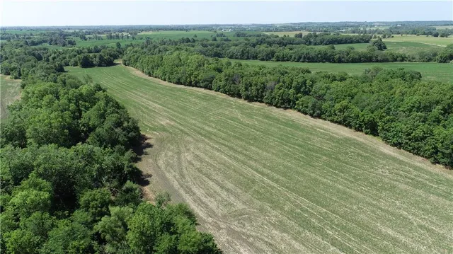 $799,000 | Cowsert Drive, Braymer, MO 64624