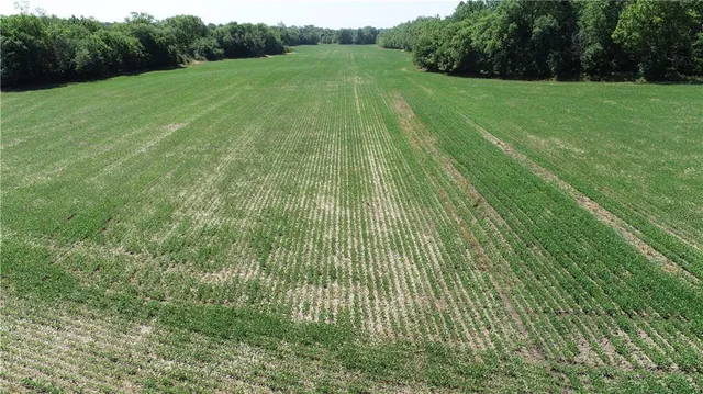 $799,000 | Cowsert Drive, Braymer, MO 64624