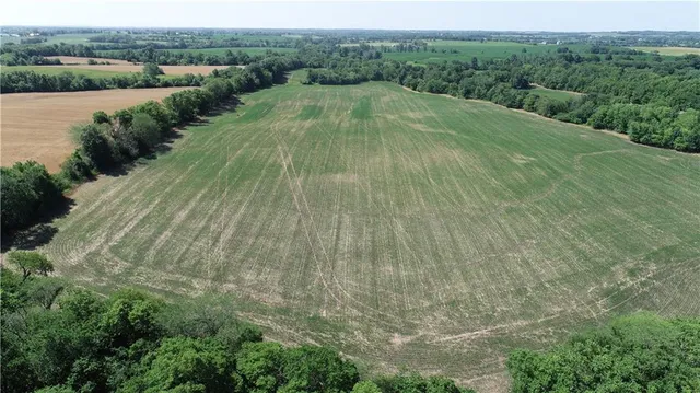 $799,000 | Cowsert Drive, Braymer, MO 64624