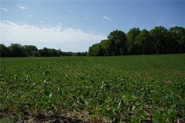 $799,000 | Cowsert Drive, Braymer, MO 64624