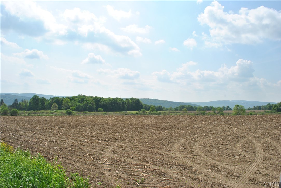 0 Wolf Road Cortland, NY 13045 - Photo 1 of 1 Gallery Image 1