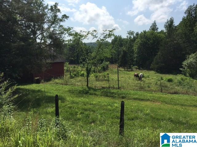 37-acres Joy Road, Unit 37 ACRES Hayden, AL 35079 - Photo 14 of 17