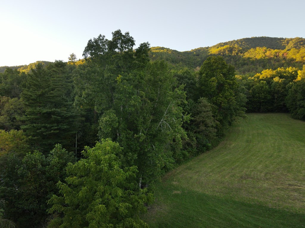 999 Ledbetter Road Robbinsville, NC 28771 - Photo 3 of 27