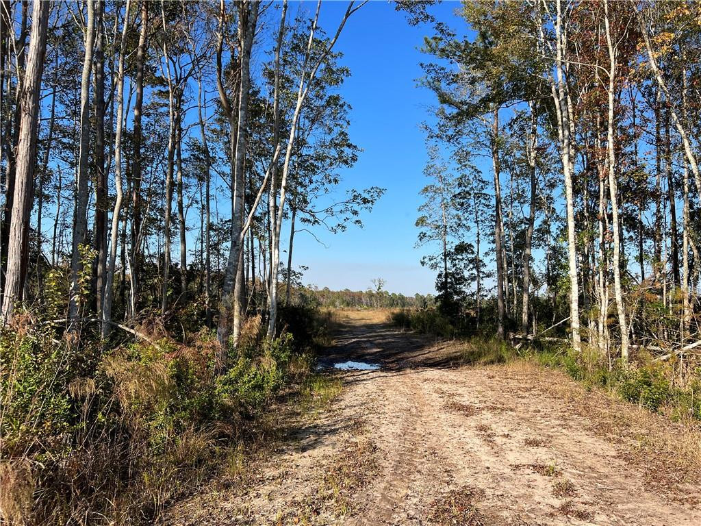 99 Highway 99 Townsend, GA 31331 - Photo 16 of 36