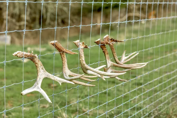 a view of a house with backyard water fountain and sitting area