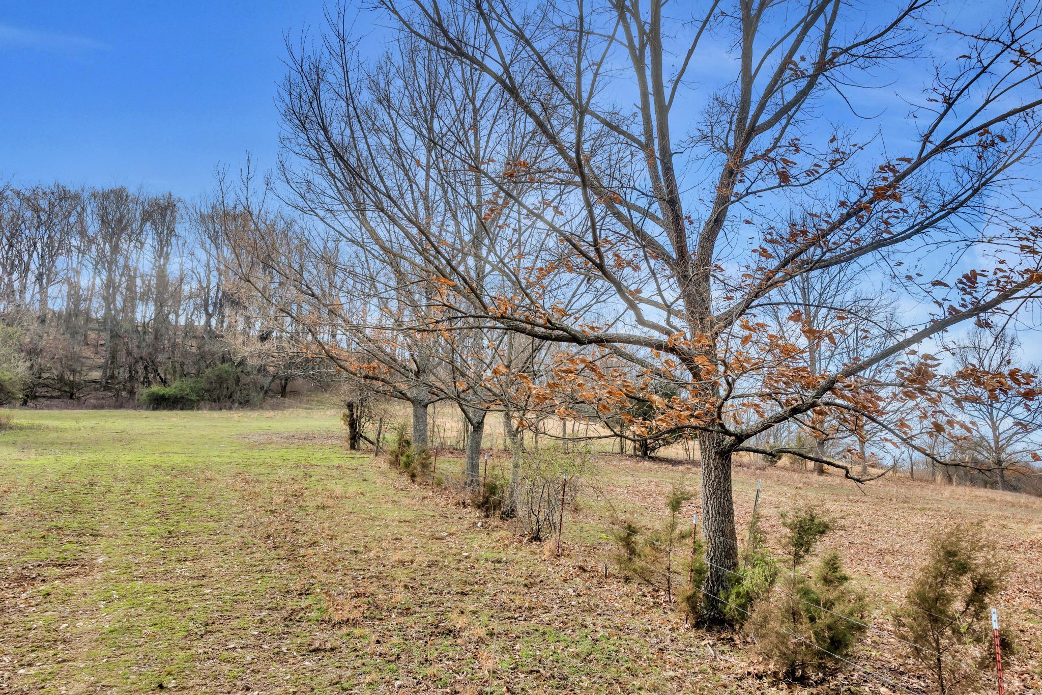 0 Fishing Ford Road Belfast, TN 37019 - Photo 11 of 70 a backyard of a house with lots of green space
