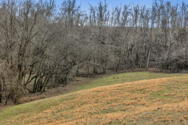 a view of empty yard