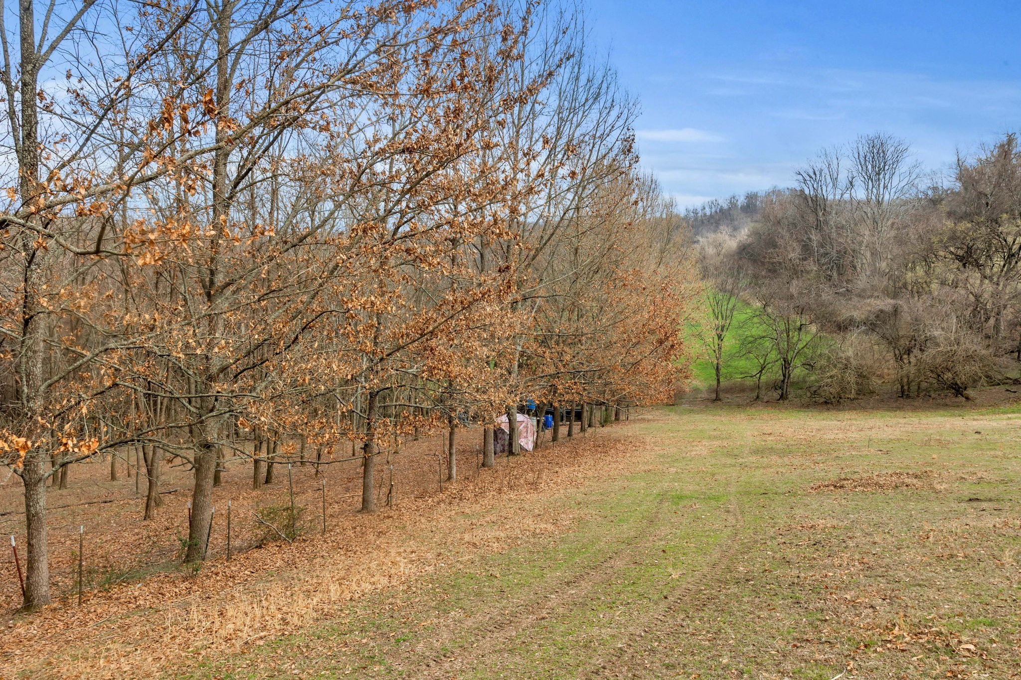 0 Fishing Ford Road Belfast, TN 37019 - Photo 17 of 70 a view of outdoor space with trees