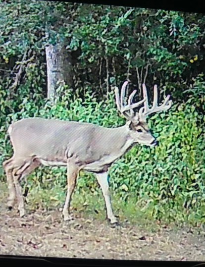 0 Fishing Ford Road Belfast, TN 37019 - Photo 18 of 70 a wooden bench sitting in the middle of a forest