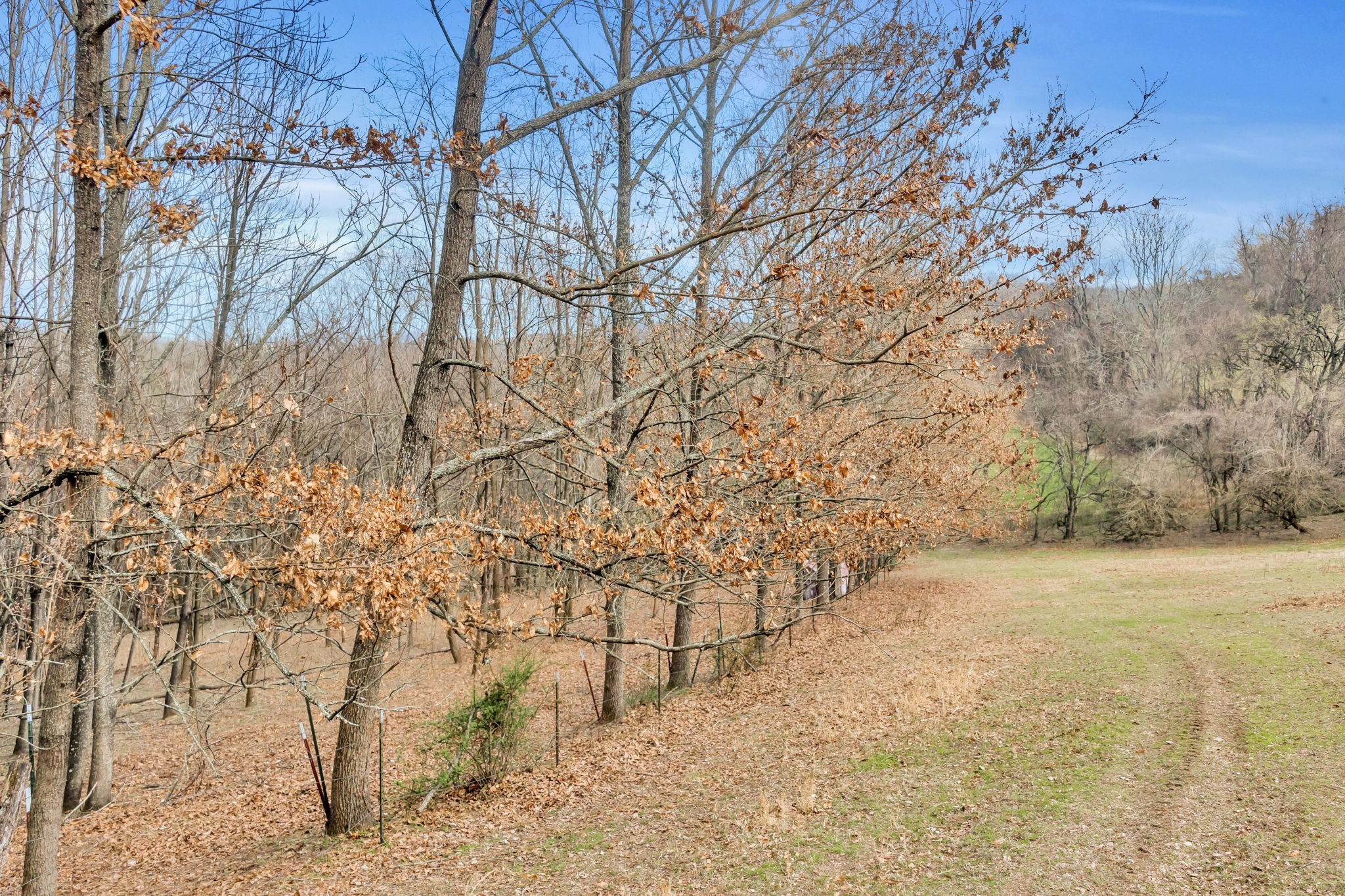 0 Fishing Ford Road Belfast, TN 37019 - Photo 19 of 70 a view of empty yard