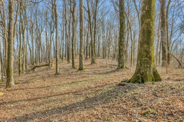 a view of a dry yard and mountain view