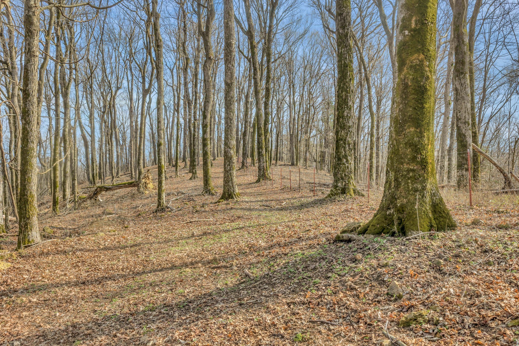 0 Fishing Ford Road Belfast, TN 37019 - Photo 20 of 70