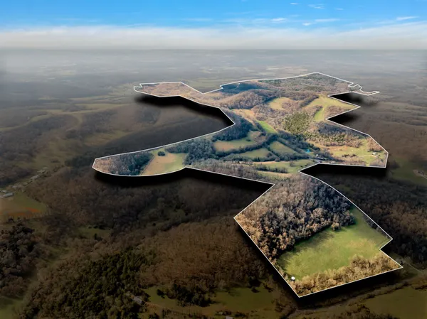a view of a house with backyard and trees
